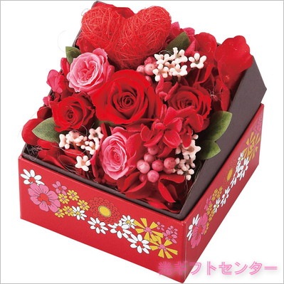 �ģ��������ǥ����ˡ����ܥå����ե�����󥸥��ȡ��ʥߥå������ߥˡ��ˡ�2022DO-004SH