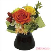 �̲ڡʥץꥶ���֥ɥե��ˡ�����󥸡�bc-13571-OR