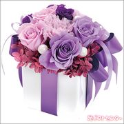 �ץꥶ���֥ɥե����ͥ륱�⡼�ʥåȡ�ncr-26-pr-nelke