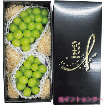 Ĺ������㥤��ޥ����åȡ���˼����������������