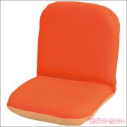 ѥȥꥯ饤˥󥰺°ػҡ󥸡M-91-4-569OR