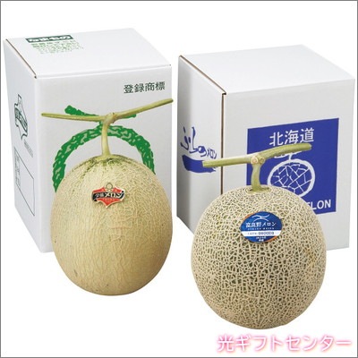 北海道産夕張メロン＆北海道産富良野メロンセット 2025お中元 なら