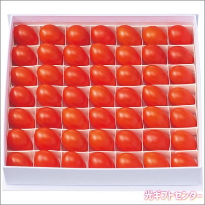 OSMIC FIRST   ߥåեȡץ󥻥ʣˡ渵