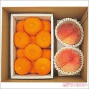 �ϥ����ߤ�������������������渵
