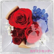 Ｄｉｓｎｅｙ　ディズニー　エテルネルフルール　ディズニープリンセス　美女と野獣　2022DO-002SH