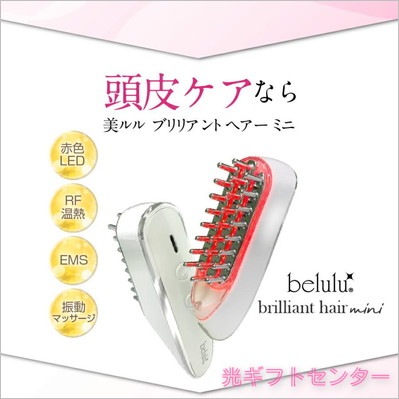 BRILLIANT WAVE EMS 本体と付属品