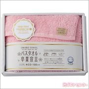 �Х�������´����������󥰥ե����������롡�ԥ󥯡�SGS-1500 P