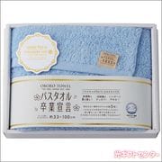 �Х�������´����������󥰥ե����������롡�֥롼��SGS-1500 B