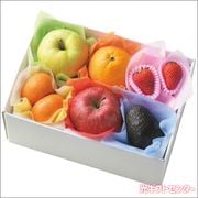 ե롼ĥɡߤβʪޥ͹礻ʣˡ