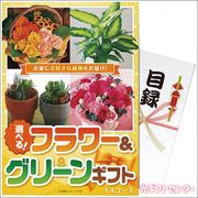 �ѥͤ⤯�������٤롪�ե�&���꡼�󥮥ե�