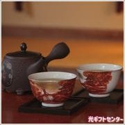 ˧������㡡��������͹礻��TYS-25