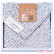 cocochiena�����������ʡ�����������ա����졼��CE40121SY1P
