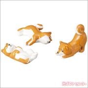 Ȥ�֤����åȡ��Ƹ���SAN4573