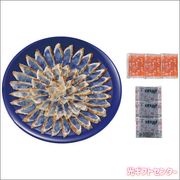 Ĺ�ꡦ���ܸ������Ȥ�դ����������ɿȥ��åȡ�FT-SDZ