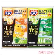 Kao���ֲ��������ΥХ������८�եȡ�SKB-15A