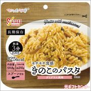 ���������ޥ��å��ѥ��������Τ��Υѥ���