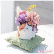 ���Ĥ���ǭ����ʥץꥶ���֥ɥե���