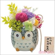���������碌�դ����������Ĥ⤢�꤬�Ȥ��ʥץꥶ���֥ɥե���