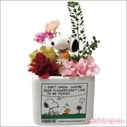 PEANUTS�����̡��ԡ�����ȥ륬���ǥ�SN5612