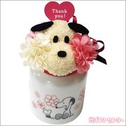 PEANUTS�����֥��̡��ԡ����ԣ���롡�������SN5629