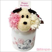 PEANUTS�����֥��̡��ԡ����ȣ�������£����������SN5636