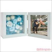 �ץꥶ���֥ɥե������ɥ롦�ե�����롡ncr-26-pr-frame