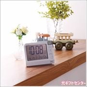 SEIKO セイコー メロディ電波からくり掛時計（39曲入） RE579S なら