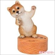 WooBia�������ӥ����ģ�����祹�ޥۥ�����ɡ��Ƹ���H20364