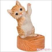 WooBia�������ӥ����ģ�����祹�ޥۥ�����ɡ���ȥ�ǭ��H20355-1
