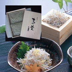 ����������ŷ������������MA-A