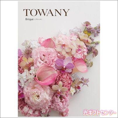 TOWANY��BRIQUE���ȥ�ˡ����֥�å���10900