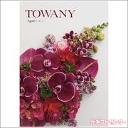 TOWANY��AGATE���ȥ�ˡ����������ȡ�25900