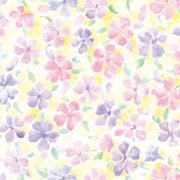 桦եȡץ쥼ȡۡեƥ