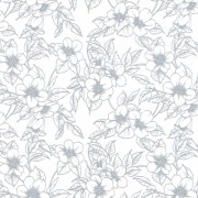 桦եȡʩѡ֥ۡ롼٥꡼