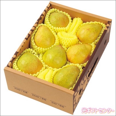 ������������͡����塡����硡��������������