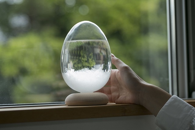 Tempo Pulse【テンポパルス】