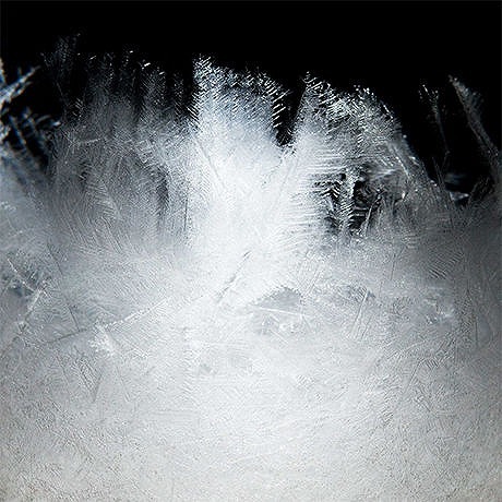 Tempo Pulse【テンポパルス】