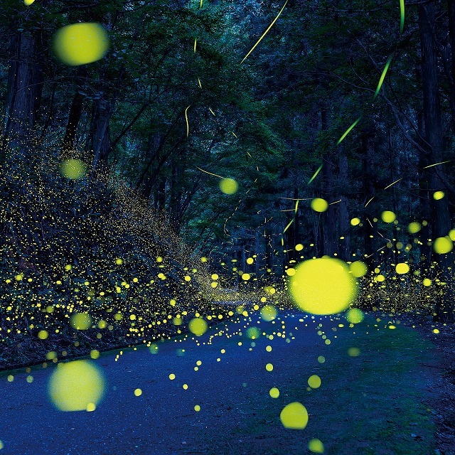 津軽びいどろ にほんの色 ふうけい 一輪挿し 宵の蛍