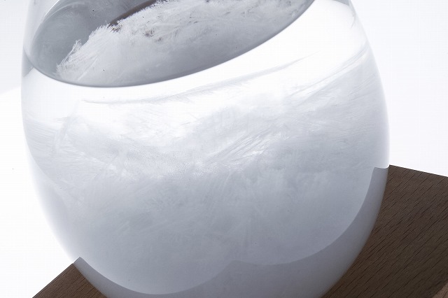 Tempo Drop【テンポドロップ】