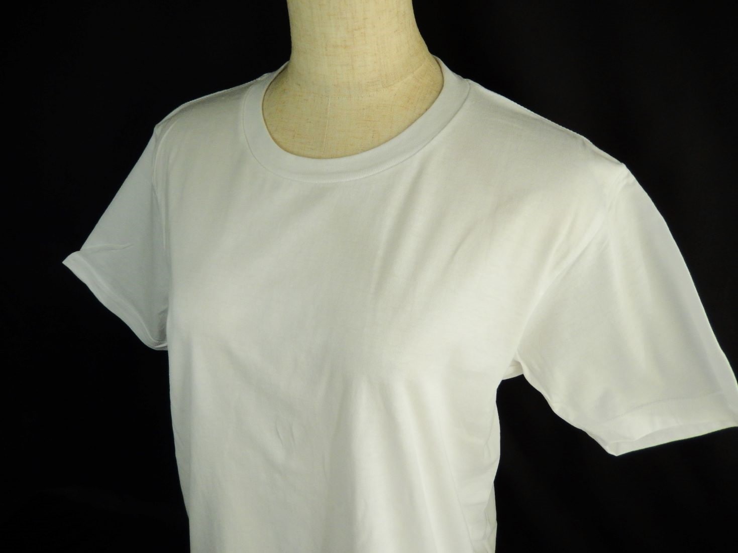 綿100％　ユニセックスTシャツ　Mサイズ　1枚