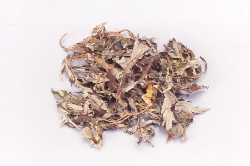 よもぎ　100ｇ Yomogi (Japanese mugwort leaves )