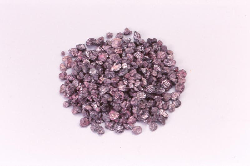 コチニール＜虫＞　500g　Cochineal (dried whole bugs)