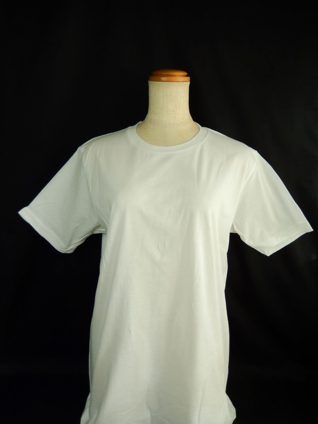 綿100% ユニセックスTシャツ XSサイズ 1枚