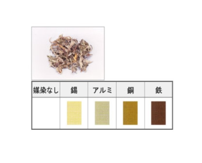 よもぎ 100g Yomogi (Japanese mugwort leaves ) | ENGLISH,Natural