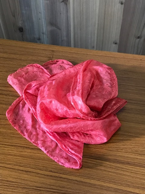 紅花　100ｇ Benibana (Safflower)