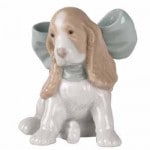 ݡ󡡥ꥢɥ֥ɡNAOܥλƸ