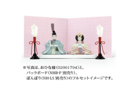 ���ץ�����ʡ��ݡ�����󡡥ꥢ�ɥ�����֥��ɡ�NAO�����Ҥ��͡��Хå��ܡ���