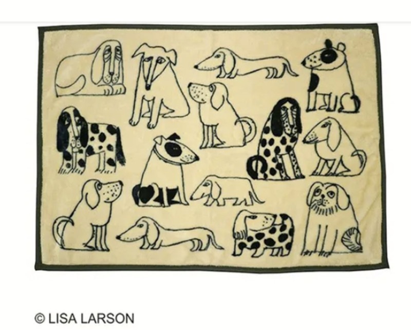 ꥵ顼󡡤Ҥݤåɥå