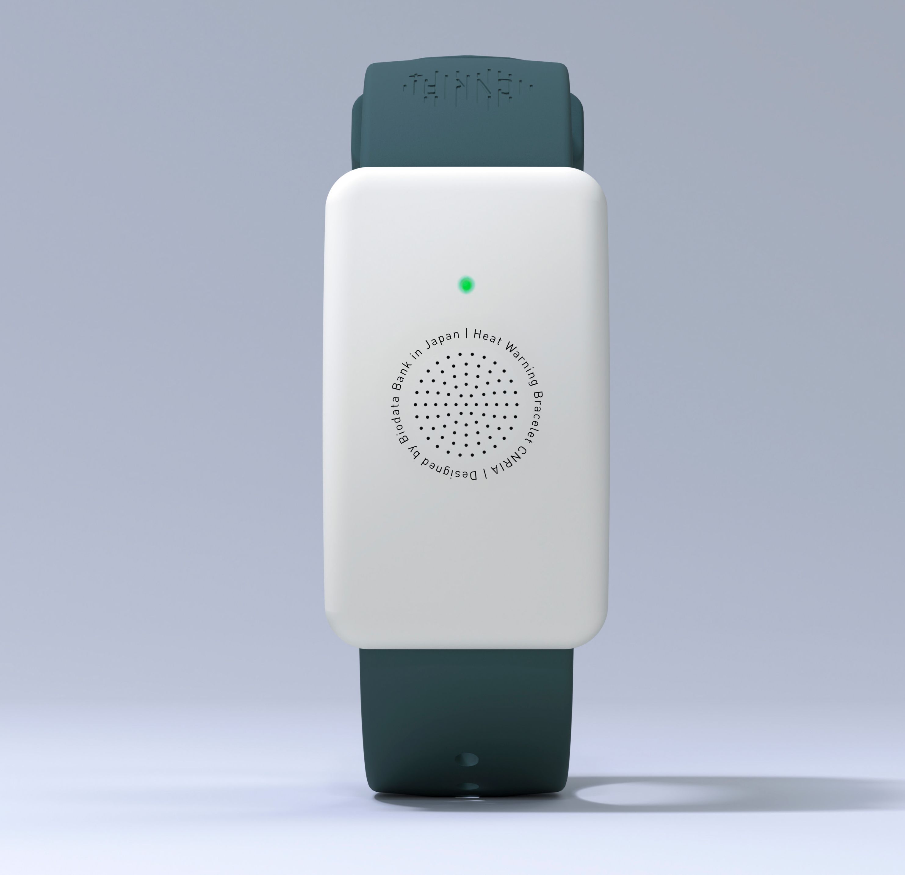 カナリアPLUS（2026年版）