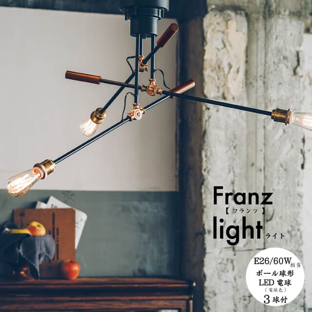 Franz/フランツ シーリングライト LED電球付き ルームライト 天井照明 インテリアライト おしゃれカフェやショップのような照明 LED対応